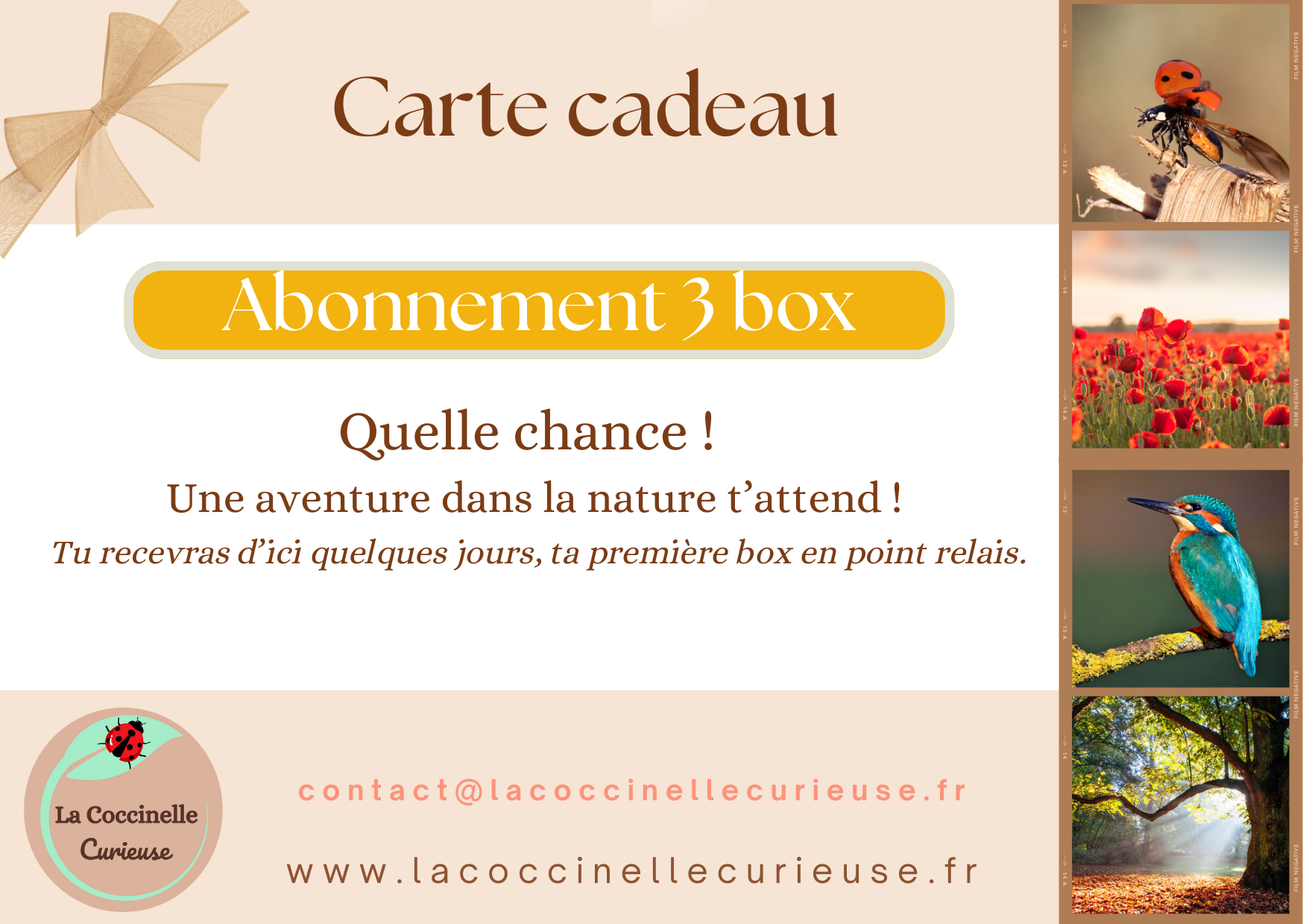Box nature - Cadeau 3 box / 6 mois