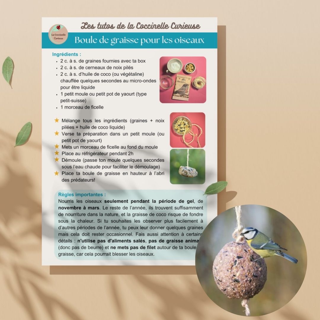 Box nature - Cadeau 3 box / 6 mois