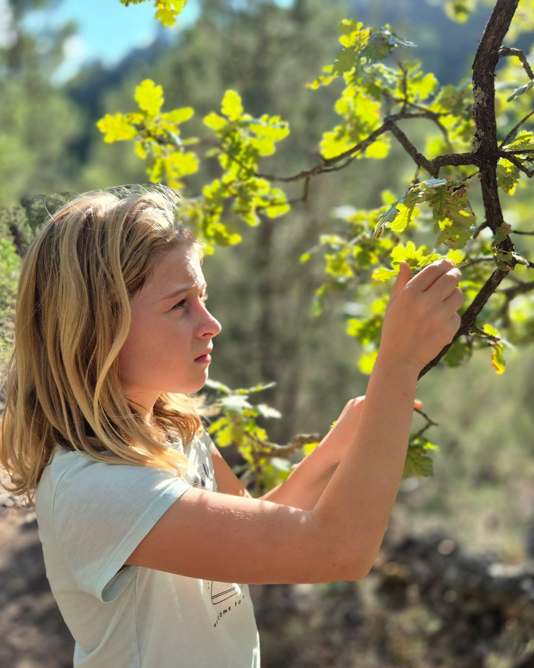 Fille observant de près les feuilles d'un chêne en fin d'été