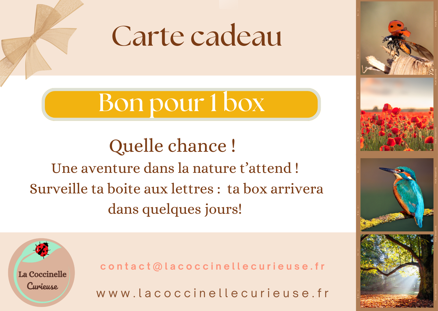 Box nature - Cadeau 1 box