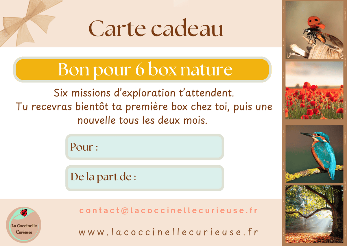 L’exploration nature – Abonnement cadeau 6 box