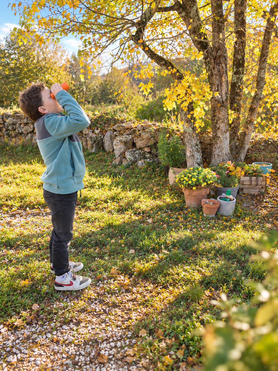 Garçon observant les oiseaux aux jumelles dans un jardin en automne