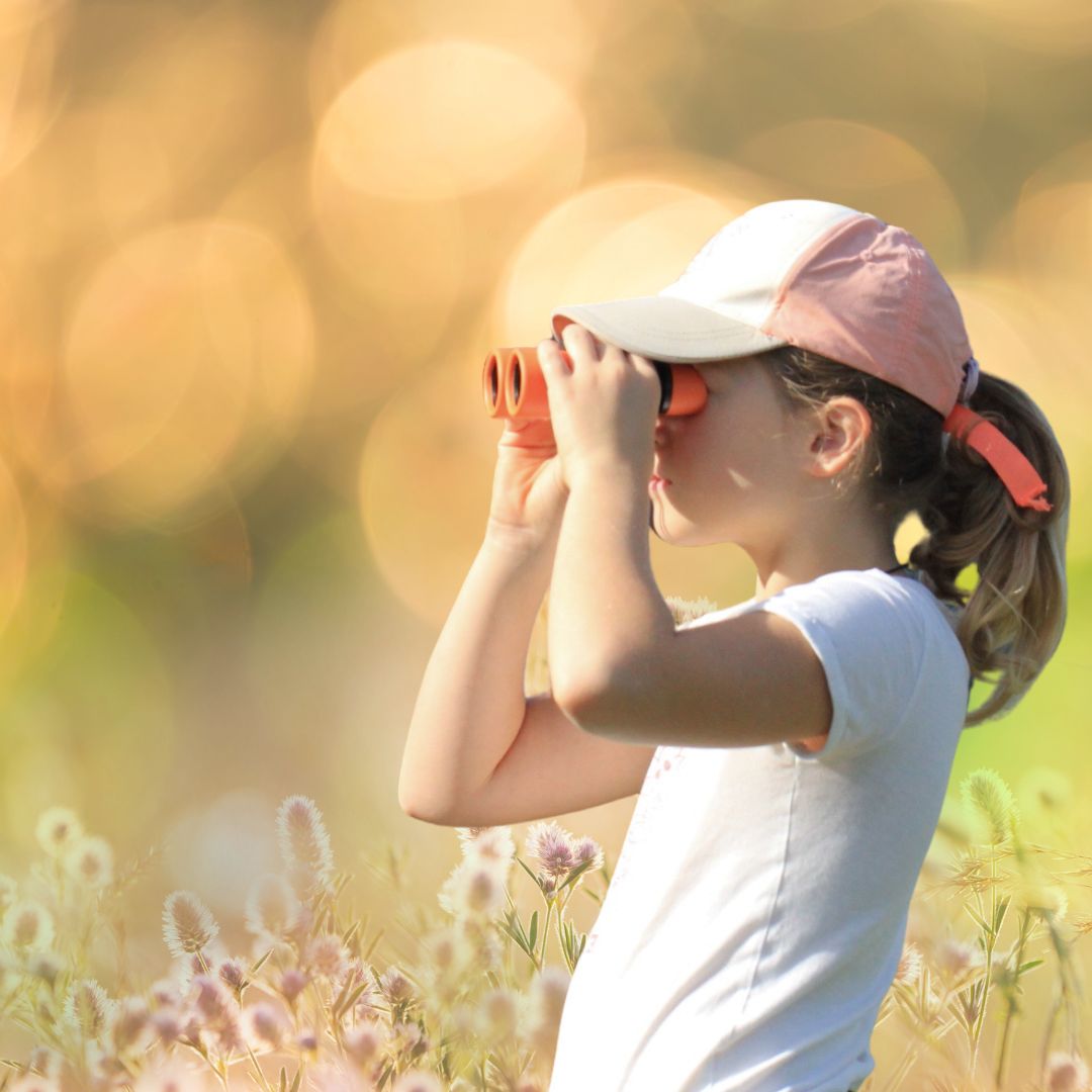 Box nature - Abonnement Explorateur